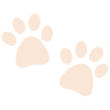 paws